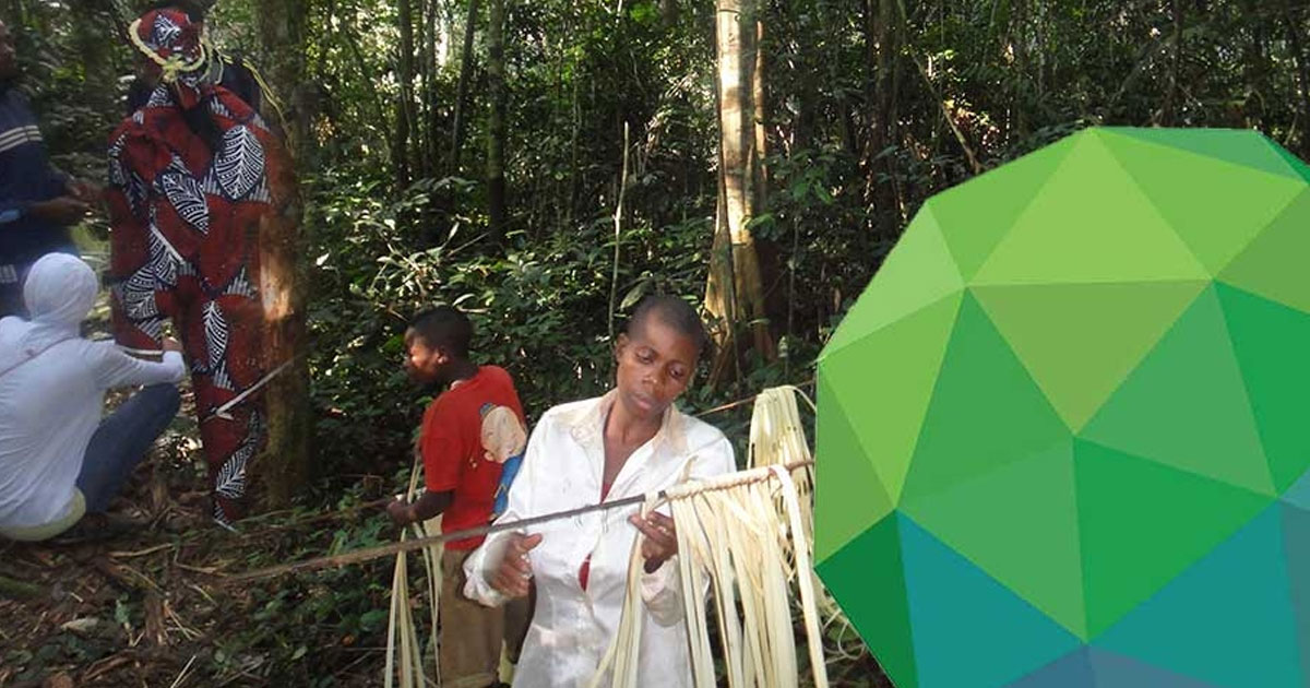 Green Climate Fund approves Strategic Plan and increases portfolio that will likely impact indigenous peoples