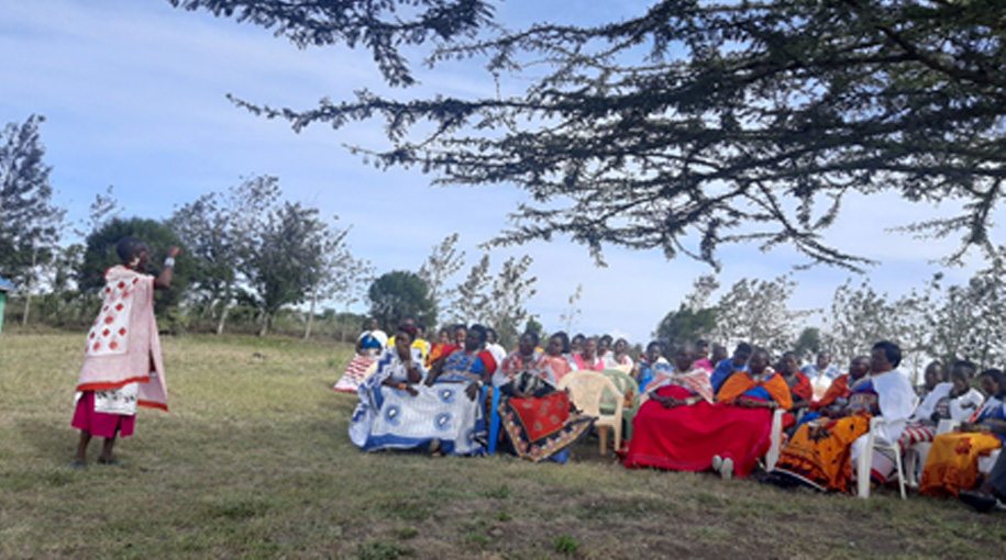 elatia enhances indigenous communities 4