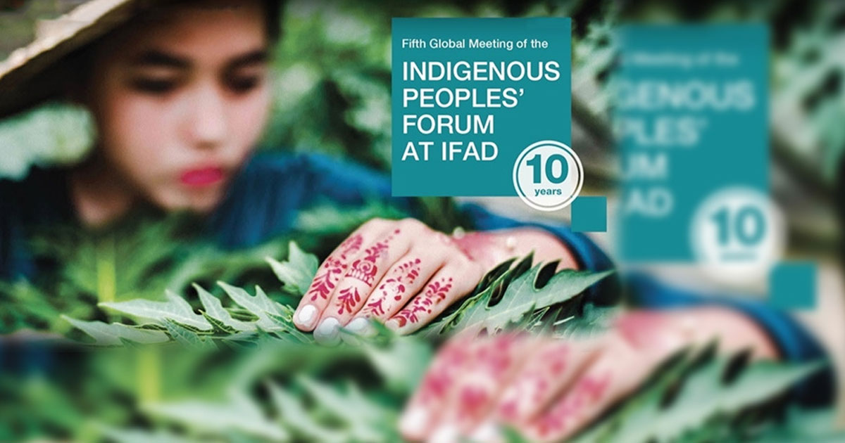 Fifth Global Meeting of the Indigenous Peoples’ Forum at IFAD Culminates with Commitment to Strengthen Engagement