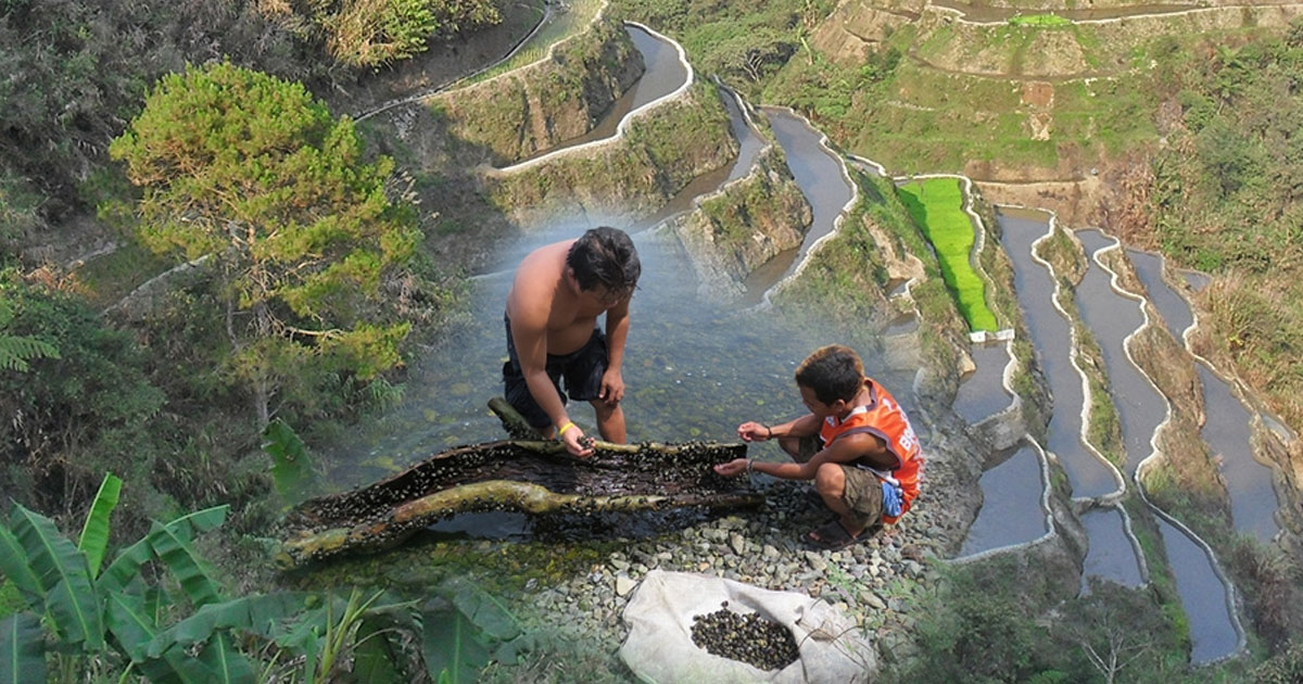 Indigenous Peoples Call for the Protection and Sustainable Management of the Environment