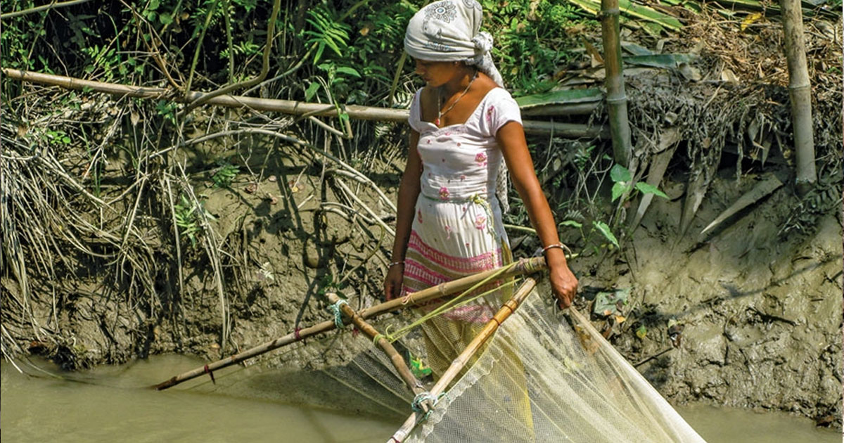 Asian Indigenous Peoples Prepare for the Upcoming UN Food Systems Summit