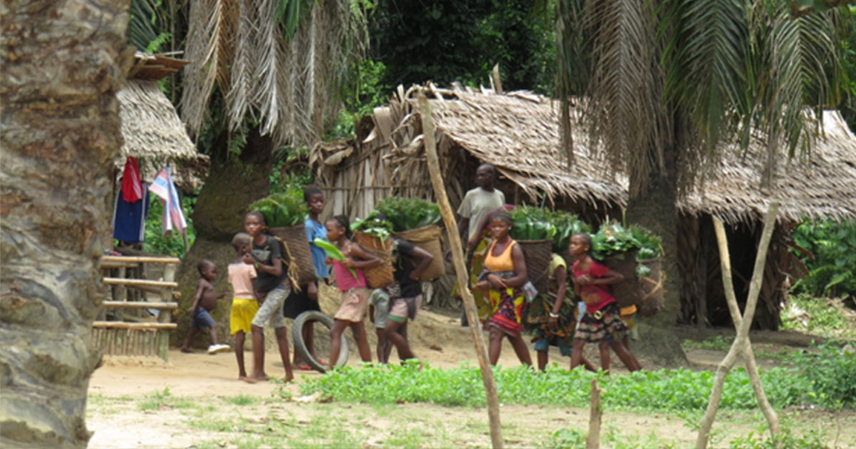 drc workshop 3