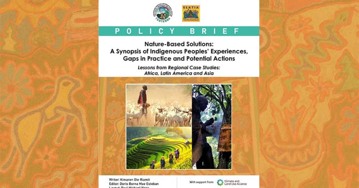 Nature-Based Solutions: A Synopsis of Indigenous Peoples’ Experiences, Gaps in Practice and Potential Actions