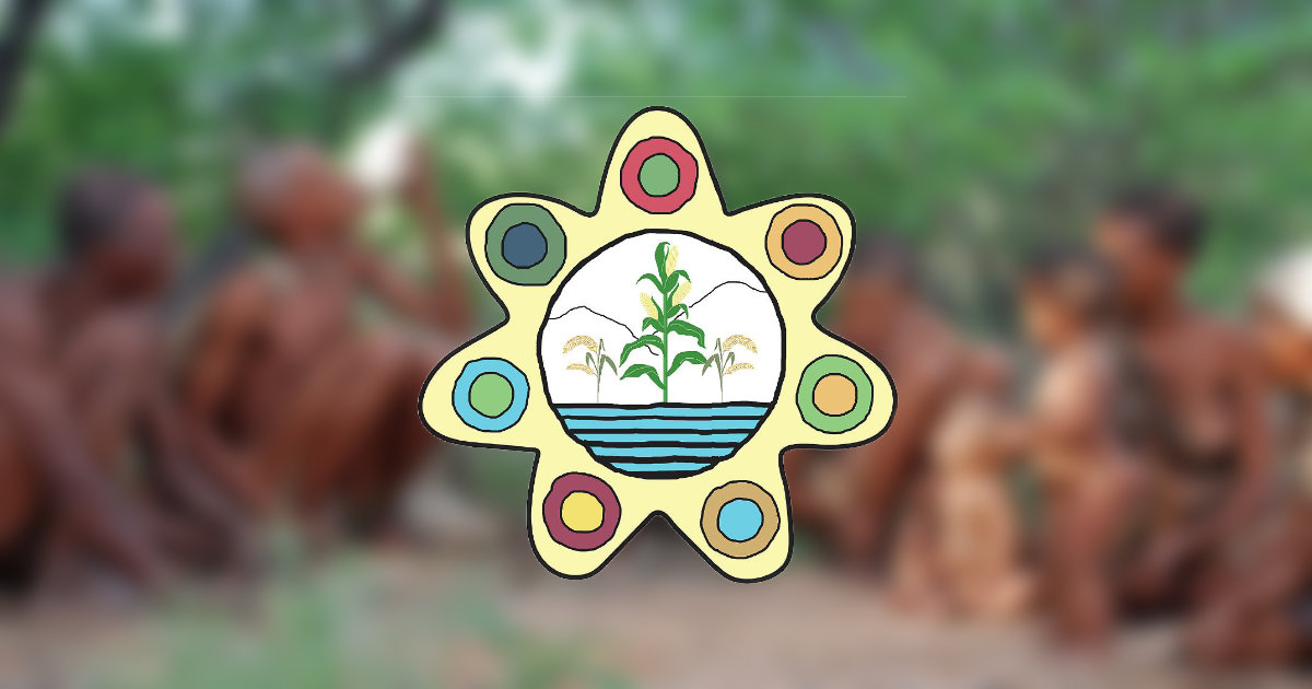 Indigenous Peoples Major Group Engages with High-Level Political Forum in New York