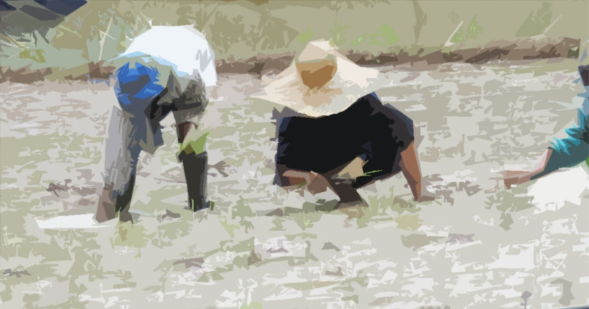 Analysis of the IP Tracker Data on the GCF's Efforts to Benefit Indigenous Peoples