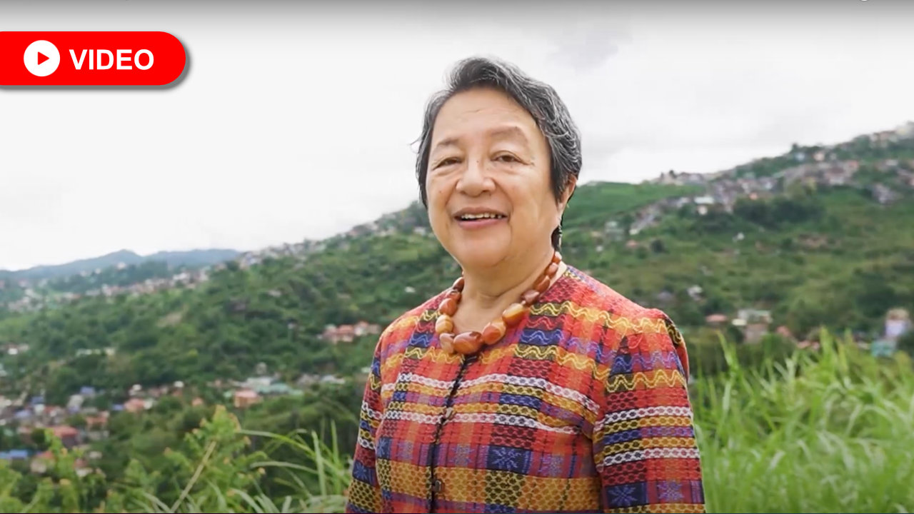 Tebtebba's History, Work and Vision