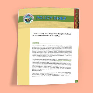 Data: Leaving No Indigenous Peoples Behind in the Achievement of the SDGs