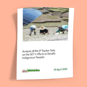 Analysis of the IP Tracker Data on the GCF's Efforts to Benefit Indigenous Peoples