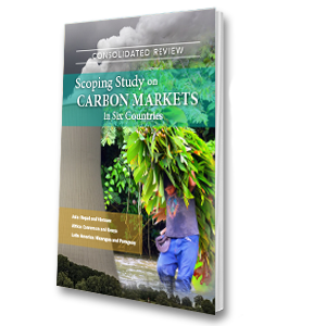 Consolidated Review: Scoping Studies on Carbon Markets in Six Countries (ENGLISH)