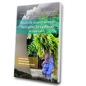 Revisión consolidada: Estudios de alcance sobre los mercados de carbono en seis países (SPANISH)