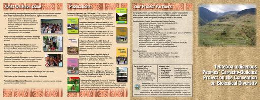 CBD Project Brochure