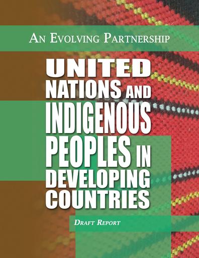 United Nations and Indigenous Peoples in Developing Countries: An Evolving Partnership (Draft Report)