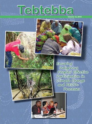 Tebtebba (Volume 12, 2010)