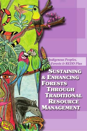Sustaining & Enhancing Forests Through Traditional Resource Management