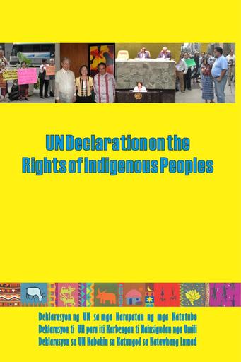 UN Declaration of the Rights of Indigenous Peoples