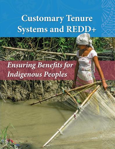 Customary Tenure Systems and REDD+: Ensuring Benefits for Indigenous Peoples