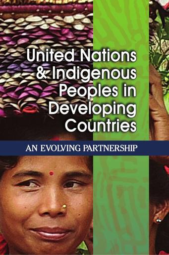 United Nations and Indigenous Peoples in Developing Countries: An Evolving Partnership